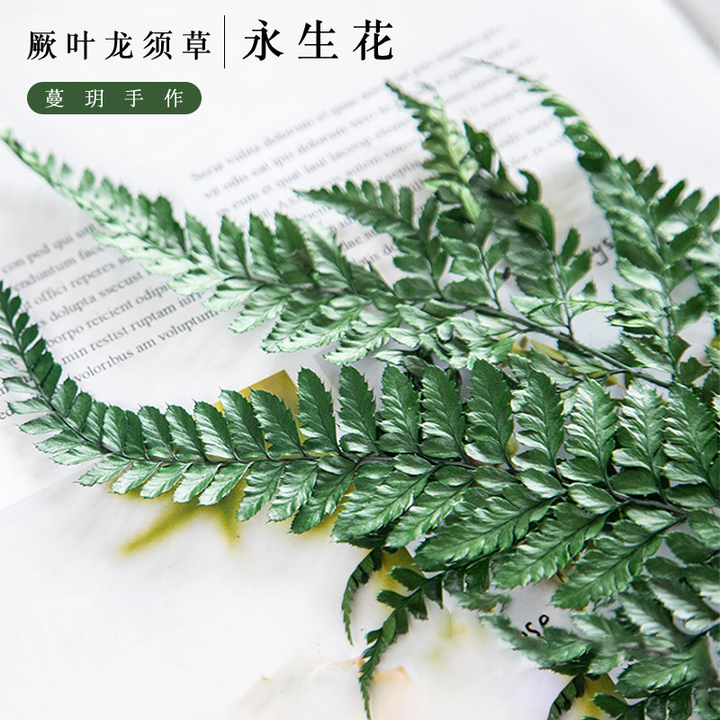 厥叶永生干花diy香薰蜡烛装饰