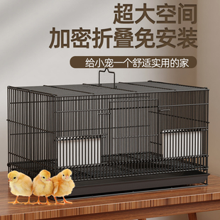 小鸡笼子家用芦丁鸡宠物鸭子专用饲养箱室内外用大号养殖笼子鸭笼