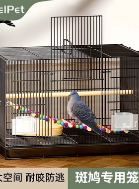 斑鸠鸟笼子斑鸠专用鸟笼养殖笼养斑鸠活鸟家养的笼子超大号繁殖窝