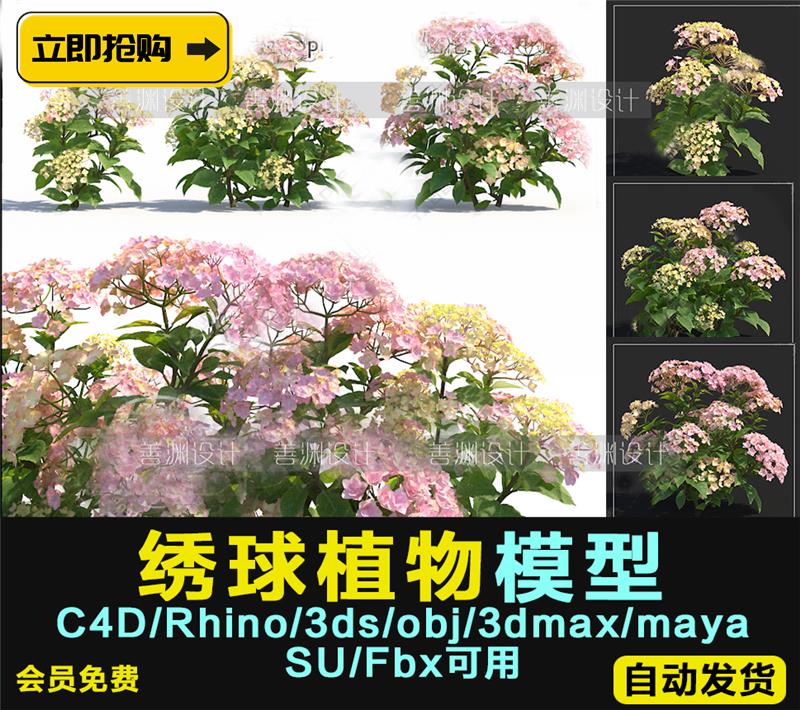 【绣球】八仙花粉团花3d植物C4D/犀牛/OBJ/3ds/3dmax/maya/FBX/SU