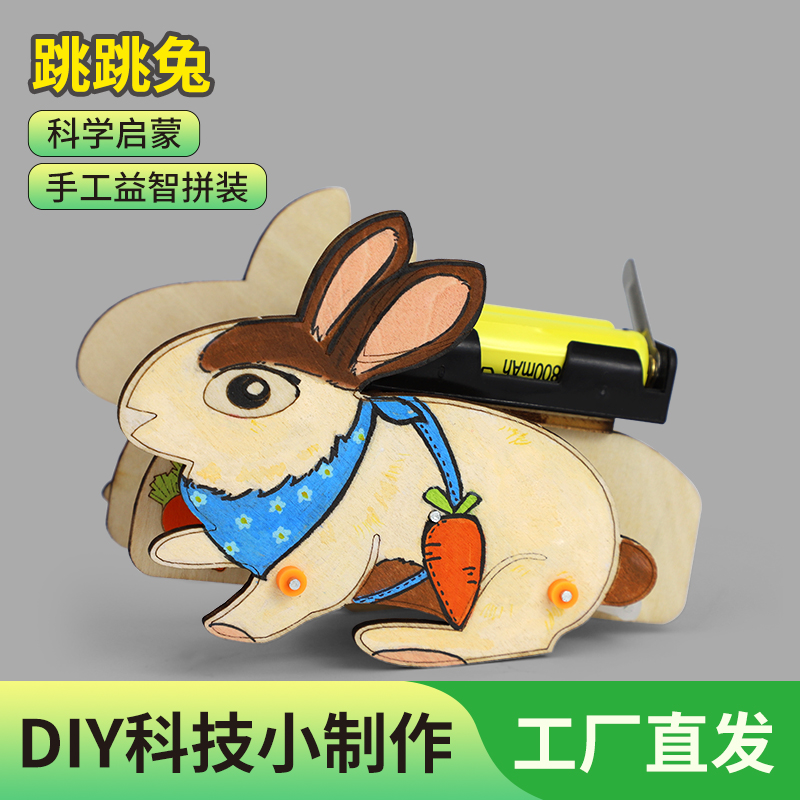 科学物理实验动手动脑