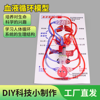 科学物理小实验血液循环模型