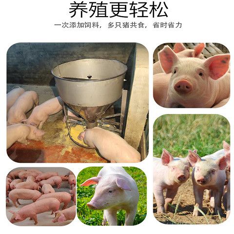 不锈槽猪料H猪食槽兜大小双面育肥干湿食槽喂料器猪喂食器养殖设