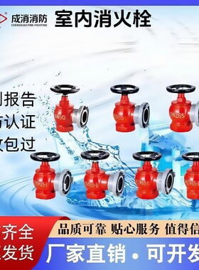 成消室内消火栓SN65 SNW65 SNZW65 SNW65-III SNZW65-III厂家直销