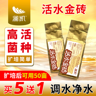 活水金砖EM菌砖水产养殖虾蟹鱼塘调水活菌发酵乳酸菌砖水产益生菌