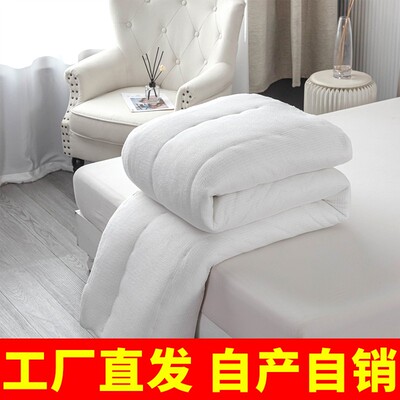 【12斤专属】【买10斤 多发两斤】棉被棉花被子被芯床垫被褥子棉