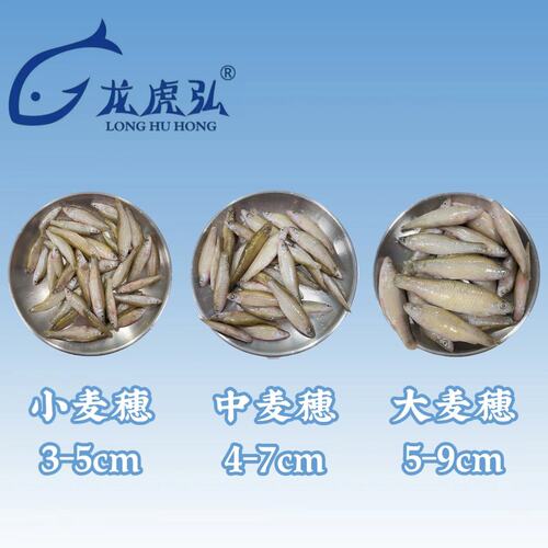 龙虎弘麦穗鱼上浮龙鱼虎鱼魟鱼冷冻鱼食虾段河虾丁鱼小泥鳅观赏鱼