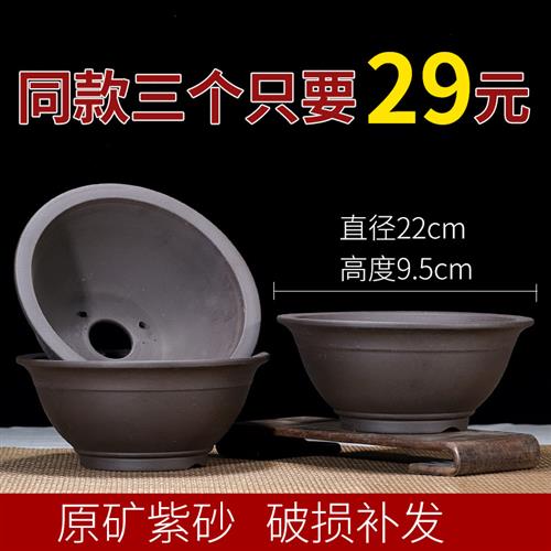 紫砂花盆特大号盆景盆简约陶瓷花盆室内花卉绿植桌面盆栽盆多肉盆