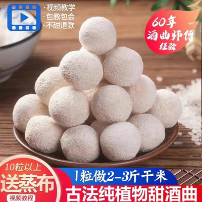 植物甜酒曲大竹袁大爷送赠品