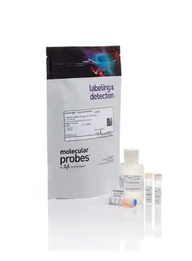 Invitrogen Qubit dsDNA HS and BR 分析试剂盒Q32851