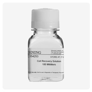 Corning康宁354253 Cell Recovery Solution细胞回收液 100ml