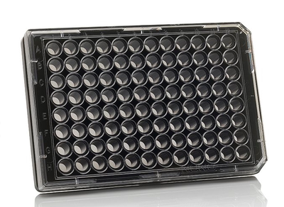 孔底聚苯乙烯盖玻片黑色无菌