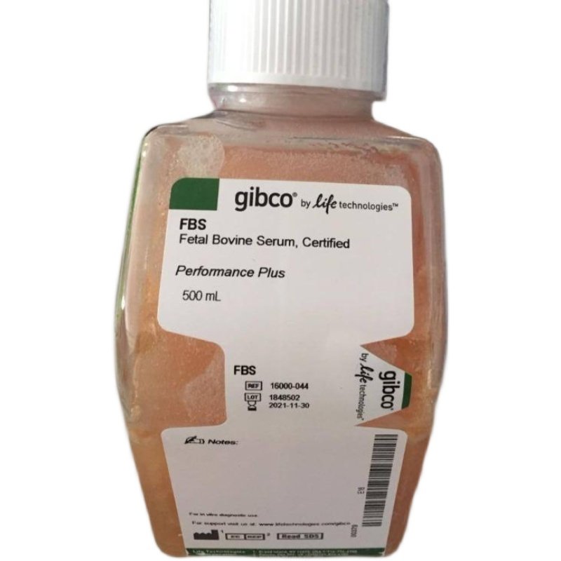 原装进口优级10099141C  Gibco Fetal Bovine Serum澳洲胎牛血清 - 实物图