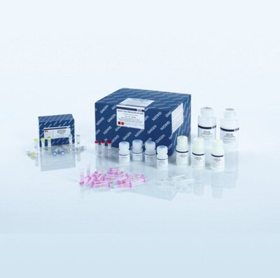 Qiagen 59824 快速亚硫酸氢盐转化试剂盒 50T 凯杰 59824