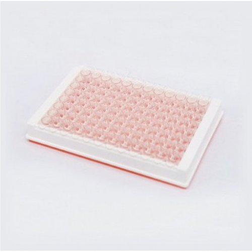 corning康宁酶标板结合表面透明