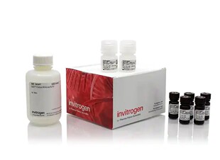 赛默飞 Invitrogen Qubit RNA High检测试剂盒 A50669