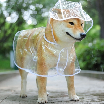 狗狗雨衣泰迪柴犬柯基专用中小型大型犬白边透明雨披防水宠物衣服