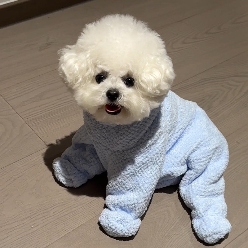 狗狗浴巾洗澡吸水毛巾浴袍专用速干加厚全包裹连帽衣服猫咪擦澡巾