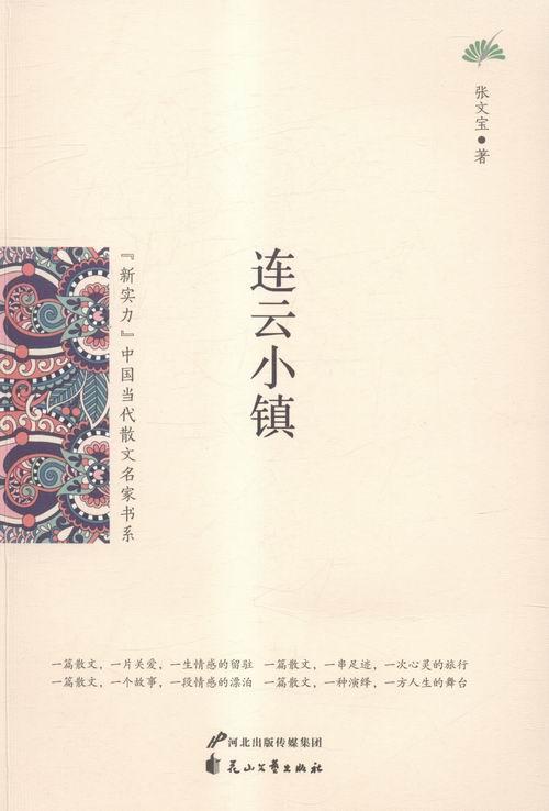 连云小镇9787551125383 张文宝花山文艺出版社