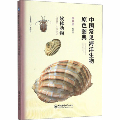 正版 中国常见海洋生物原色图典 软体动物 魏建功,曲学存 编 中国海洋大学出版社 9787567017290 可开票