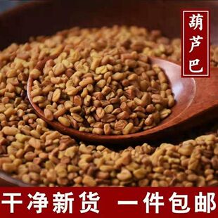 葫芦巴 芦巴子  胡芦巴子中药材 精选新货