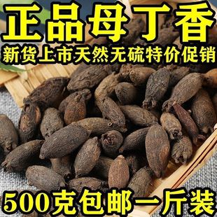 母丁香500g克 新货香料鸡舌香雌丁香亭炅独生母丁香中药材50g 包邮