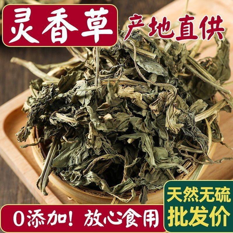 灵香草中药材广西灵草卤水火锅专用香料灵草粉灵陵草香辛料卤料