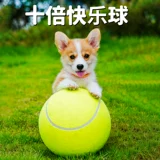 Собаки десять раз счастливый мяч, кусание, укусы, безумно -незрелые, большой теннисный тедди Корги интерактивный щенок, не плохая игрушка питомец