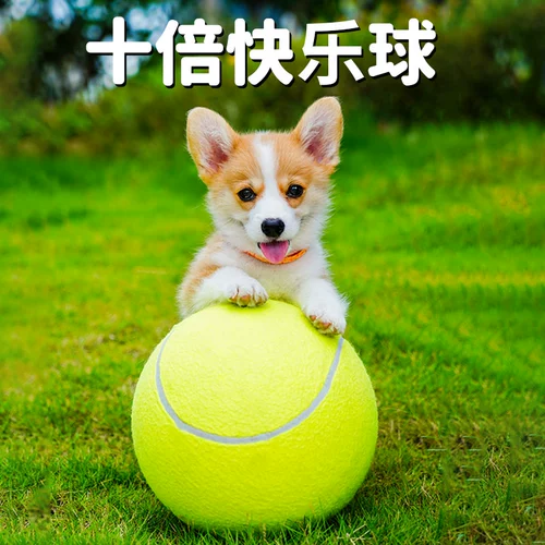 Собаки десять раз счастливый мяч, кусание, укусы, безумно -незрелые, большой теннисный тедди Корги интерактивный щенок, не плохая игрушка питомец