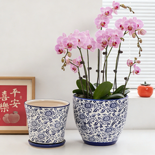 新中式青花瓷花盆轻奢高级感家用高款蝴蝶兰花盆陶瓷兰花专用大号
