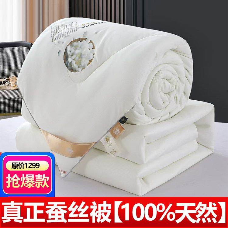 国标优等品天然蚕丝被子冬春秋被蚕丝被