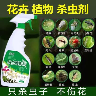文竹药杀虫剂红蜘蛛除虫驱虫长虫专用虫子白生除螨去虫害灭用药打