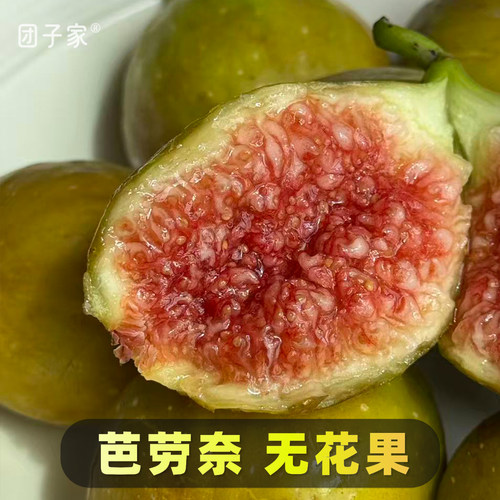 9成熟·正宗芭劳奈无花果