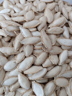 特大南瓜子原味自产自销南瓜籽大颗粒炒货土毛边2025年新南瓜子