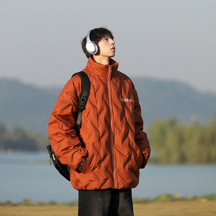 2025冬季新款国标90白鸭绒平湖轻薄羽绒服男款青少年九江立领外套