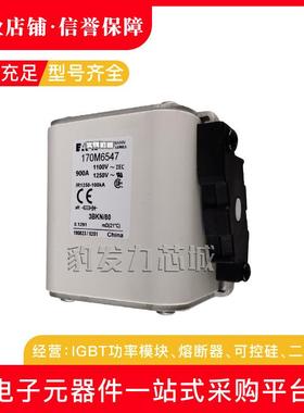 170M6544 170M6545 170M6546 170M6547 170M6548 170M6549熔断器