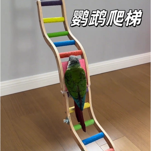 鹦鹉站杆玩具磨牙磨爪爬梯攀爬鸟啃咬解闷自嗨秋千配件装饰彩色梯