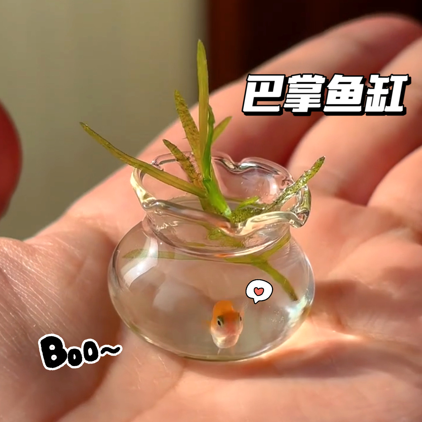 精致小鱼缸造景塑料微缩鱼缸diy娃屋办公室桌面小鱼缸超迷你型