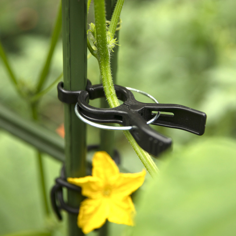 番茄固定夹菜架子黄瓜西红
