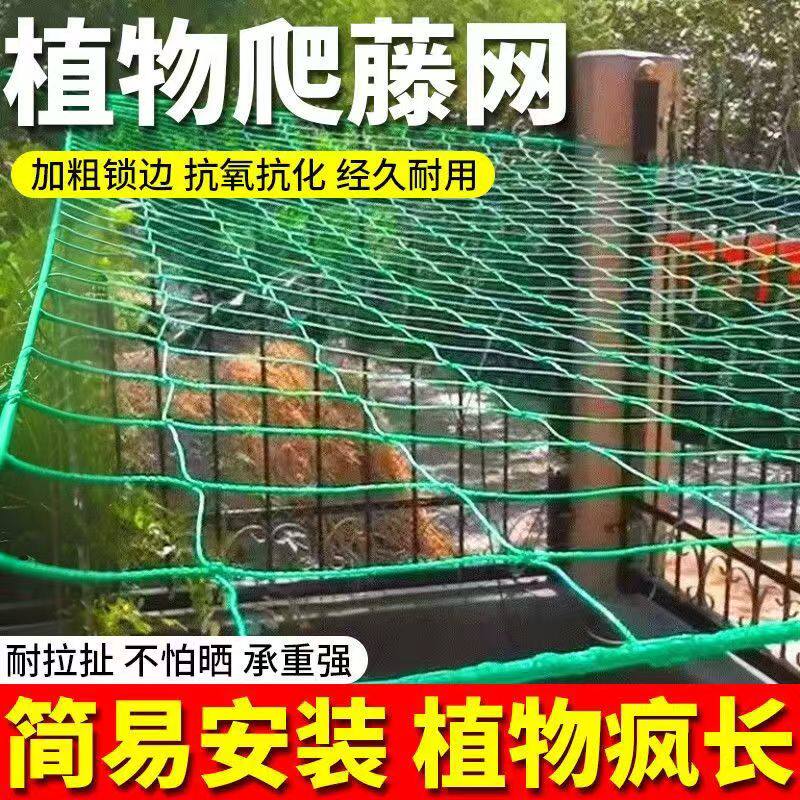 植物爬藤网新型攀爬网百香果葡萄种植豆角苦瓜丝瓜月季黄瓜网多用