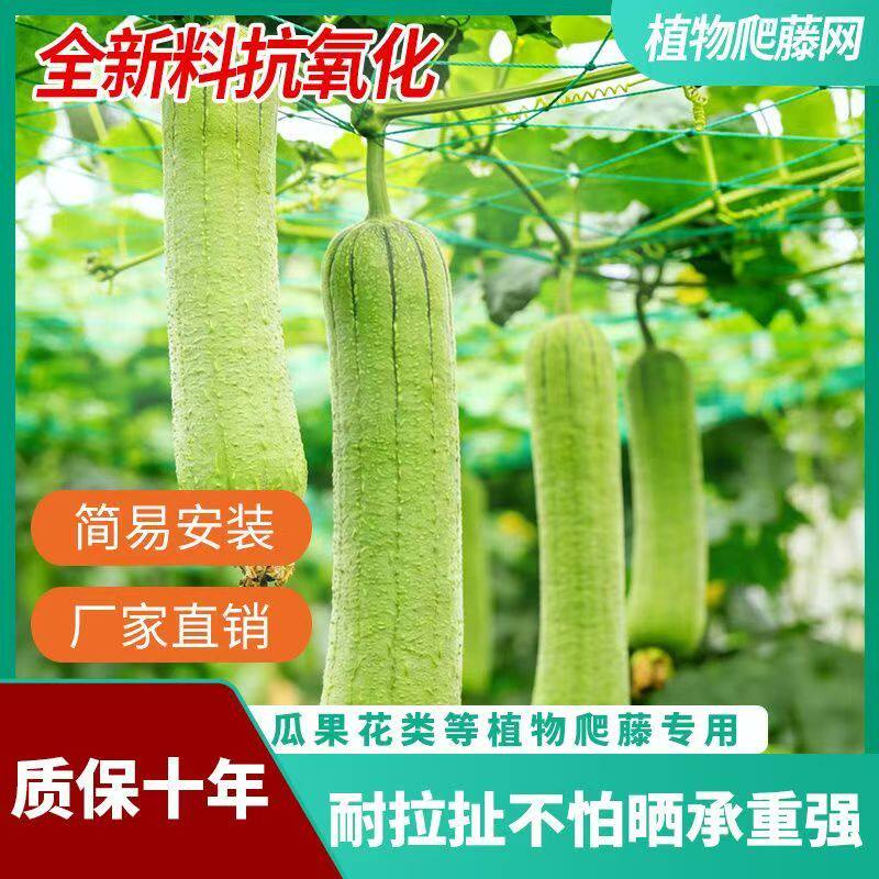 植物爬藤网新型攀爬网百香果葡萄种植豆角苦瓜丝瓜月季黄瓜网多用