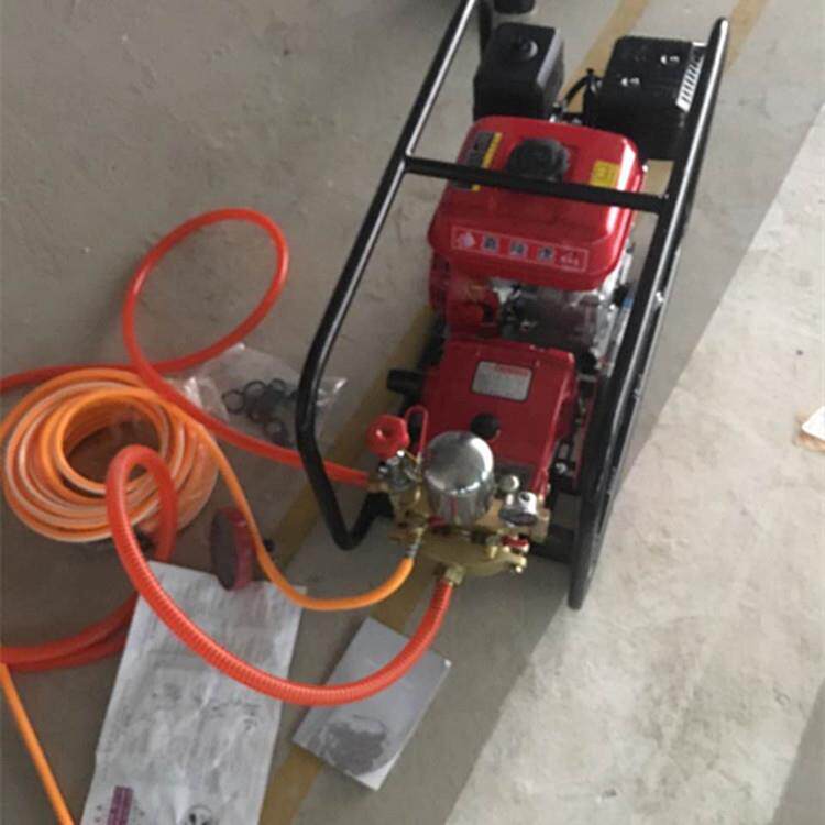 高压农用汽油喷雾器 消毒杀虫设备背负式25L容量打药机现货