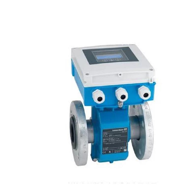 Endress+Hauser 流量开关DTT31-A1C111AA2CAB恩德斯豪斯E+H直销