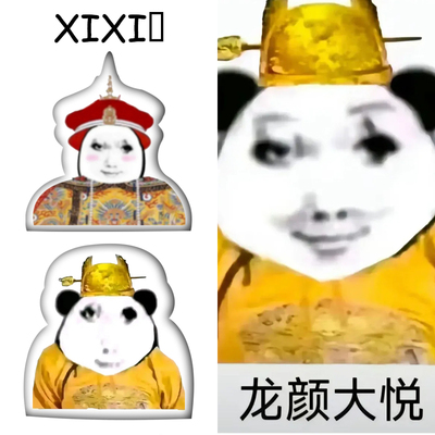 XIXI口 DIY搞怪周边抱枕定制龙图表情包异形抱枕龙玉涛毛绒玩偶