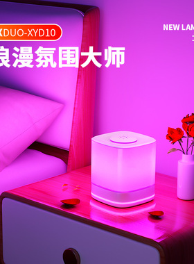 卧室情趣氛围灯床头浪漫气氛紫色小夜灯夫妻房间RGB充电款彩色灯