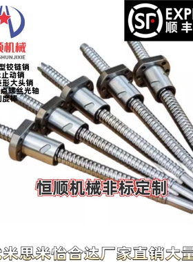 BTK1006 1404 1405 1605 1808 2005 2010 2505 2510V滚珠丝杠