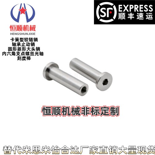带肩铰链销内螺纹型MIP010203
