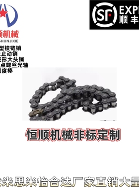 VMF01/03/21-40-10/20/30/40/50/90~10000-A链轮/链条 40系列