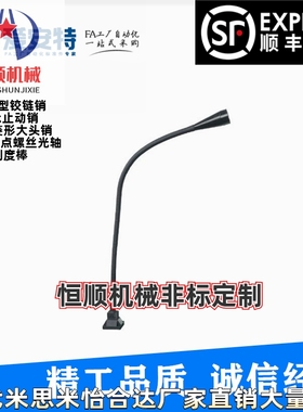 ASPOTL/ASLE-300-N/E爱安特鹅颈式LED照明灯柱形/锥形磁座式