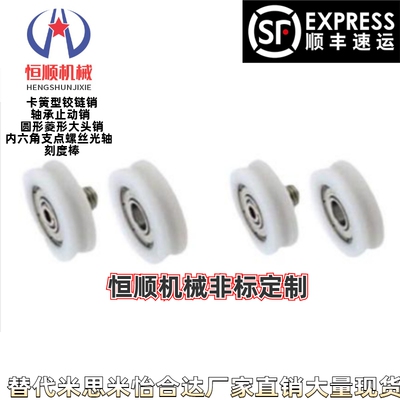 ERBH/ERBB/ERBBS19/20/22/24/30/35/40/45 R型工程塑料轴承外螺纹